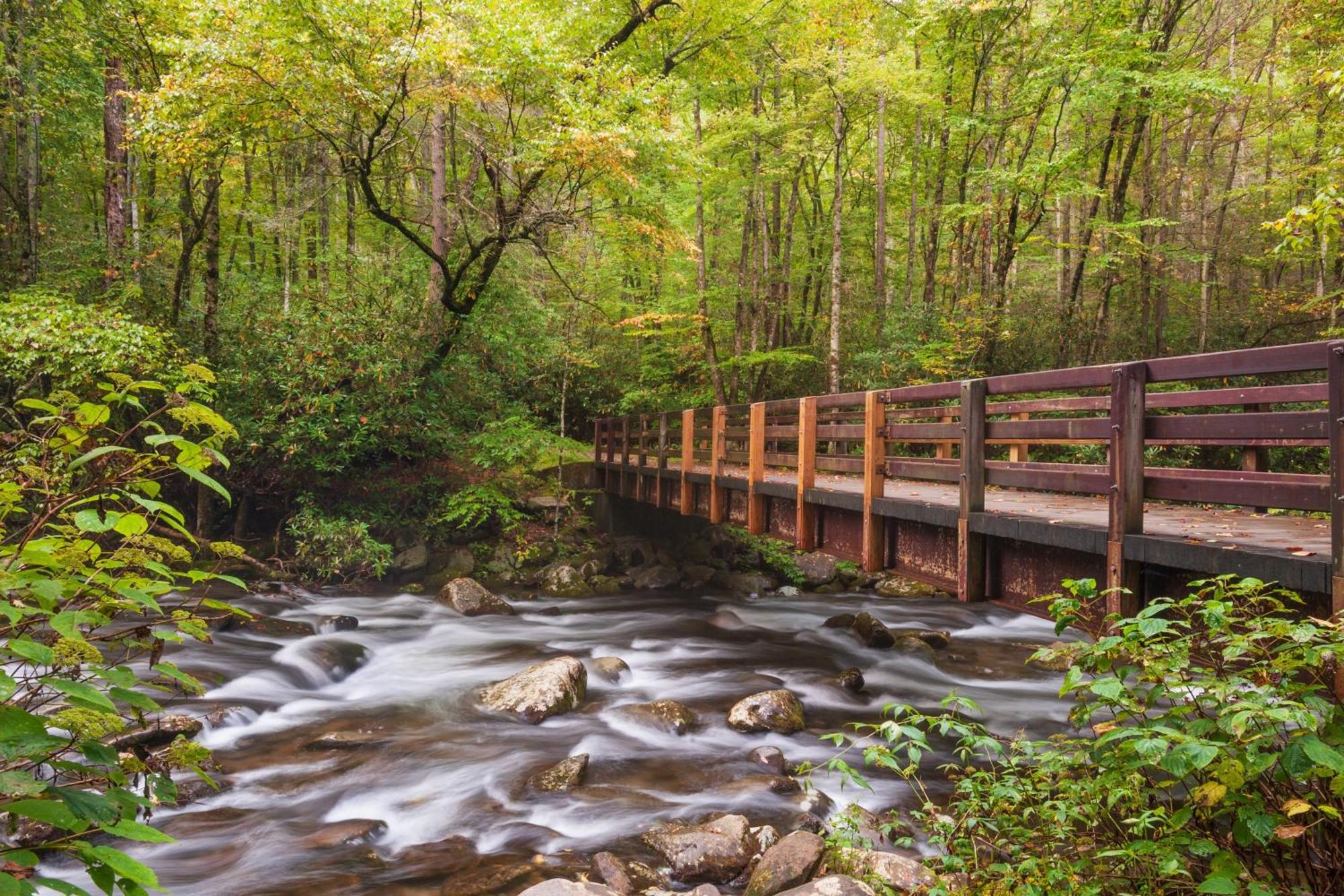 Moonshine Chalet, Hot Tub, Pool Access, Wifi, 1089 Free Tickets Each Paid Day, Dollywood And More Gatlinburg Exterior foto
